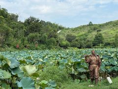 -山乡巨变第一村-周立波故居