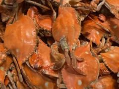 -秦皇岛秦皇国际大酒店