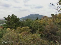 -九华山公园