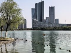 -天鹅湖体育公园