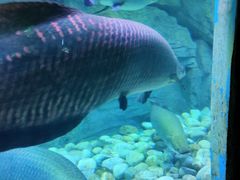 -泉城欧乐堡海洋极地世界