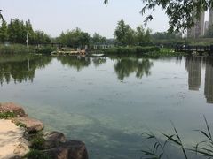 -前关湿地公园