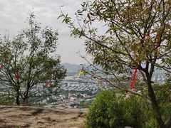-灵岩山风景区