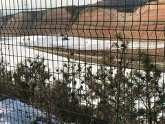 中级雪道-采薇庄园四季滑雪场
