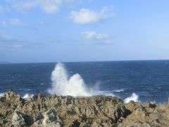 android_upload_pic-龙坑生态保护区