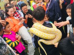 -黄龙溪欢乐田园