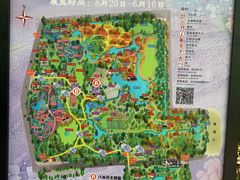 -上海共青森林公园