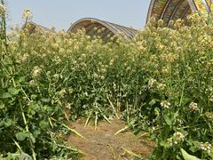 -中国天府农业博览园