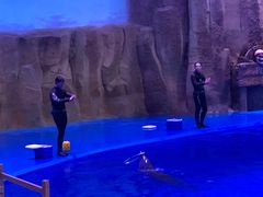 -华夏文旅海洋公园