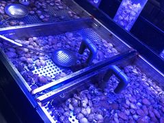 水产区-韩盛·盛江山自助料理(奥体万达店)