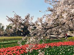 -苏州上方山国家森林公园