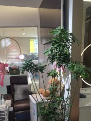 -MB·nail美甲美睫