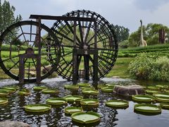 -南通洲际绿博园