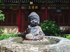 -少华山国家森林公园