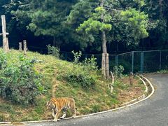 -大连森林动物园