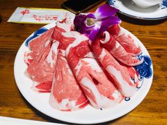 乌拉羔羊卷-凰吉园