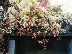 -深圳国际园林花卉博览园