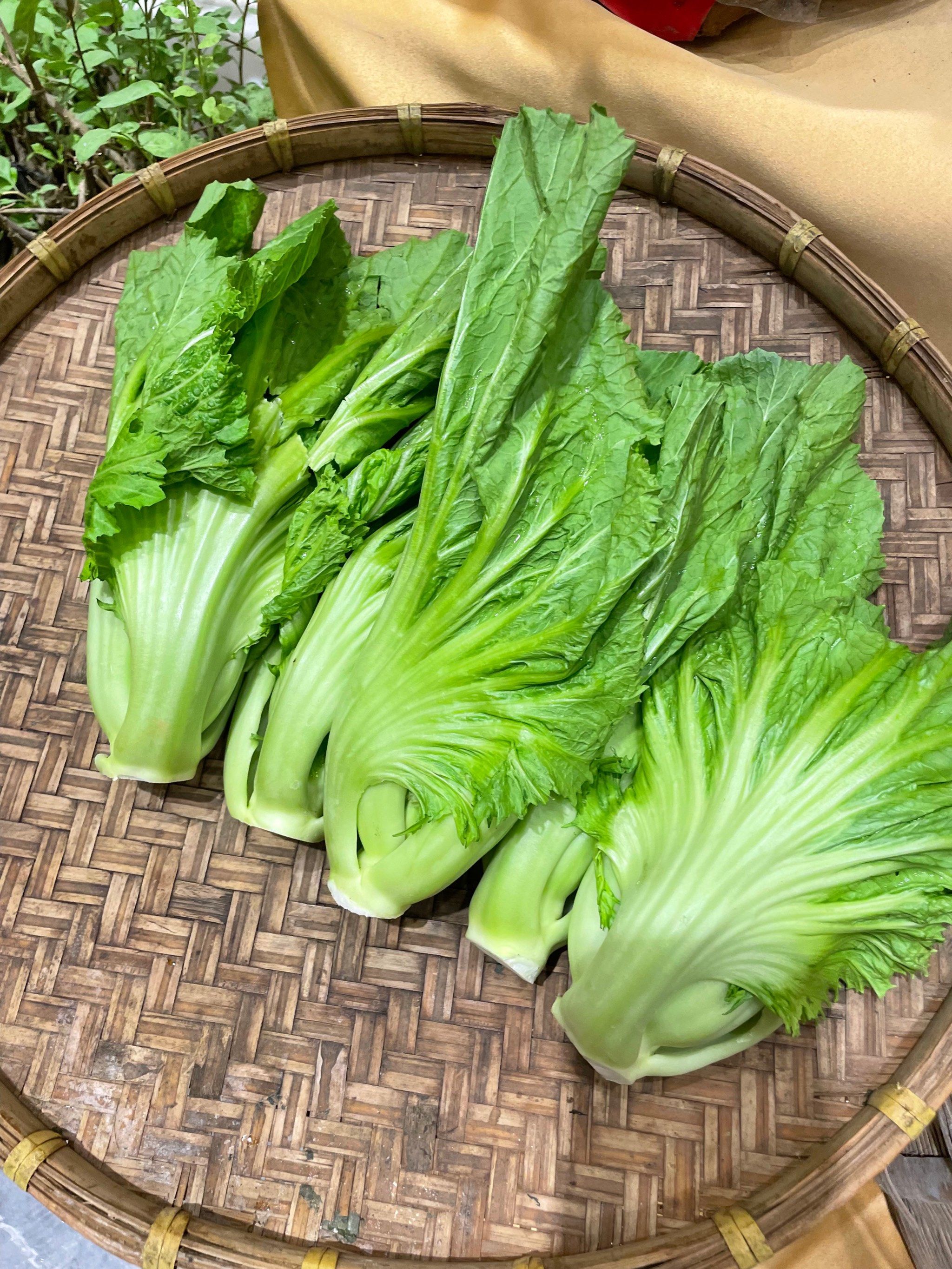 新鲜蔬菜,水甬芥