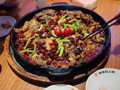 -老板恋上鱼(恒隆广场店)