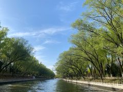 -皇家御河游(紫御湾码头)