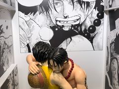-东京塔海贼王主题公园