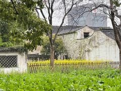 -绍兴鲁迅故里·沈园景区