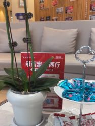 -Yestar宁波艺星整形医院