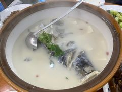 -全乐鱼馆·淳牌有机鱼直营店
