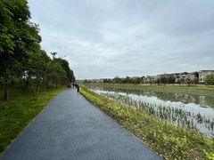 -两河城市森林公园