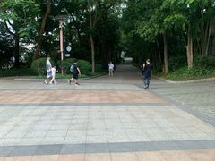 -小南山公园
