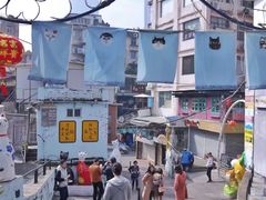 -猫咪博物馆(顶澳仔猫街店)