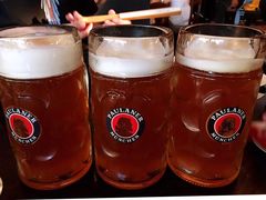 黄啤黑啤-宝莱纳餐厅(滨江店)