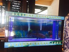 -河源万绿湖美思威尔顿酒店