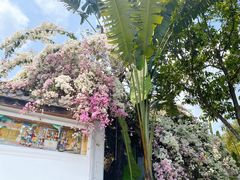 -深圳国际园林花卉博览园