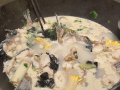 鲜潭蒸汽石锅江团鱼-鲜潭蒸汽石锅鱼(五道口购物中心店)
