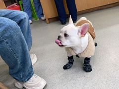 -宠颐生宠物医院·心肾内科·猫专科诊疗中心宠巢店