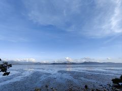 -深圳湾公园(南山区)