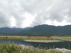 -腾冲北海湿地