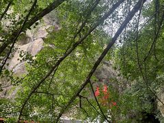 -大慈岩风景区