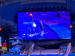-海合安武汉极地海洋公园