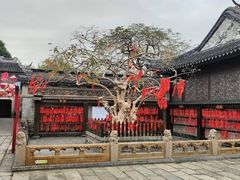 -中山詹园
