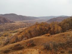 -御道口草原森林风景区