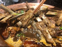 -友乐居羊蝎子(西直门店)