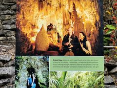 -怀托摩萤火虫洞