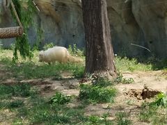 -祥源·阜阳生态乐园