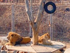 -济南野生动物世界