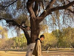 -长白岛森林公园