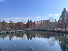 -昆山城市生态森林公园