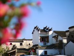 -东梓关景区村庄