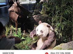-四川大学博物馆